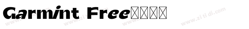 Garmint Free字体转换